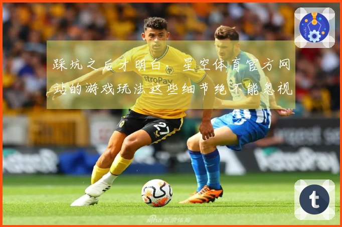 踩坑之后才明白，星空体育官方网站的游戏玩法这些细节绝不能忽视